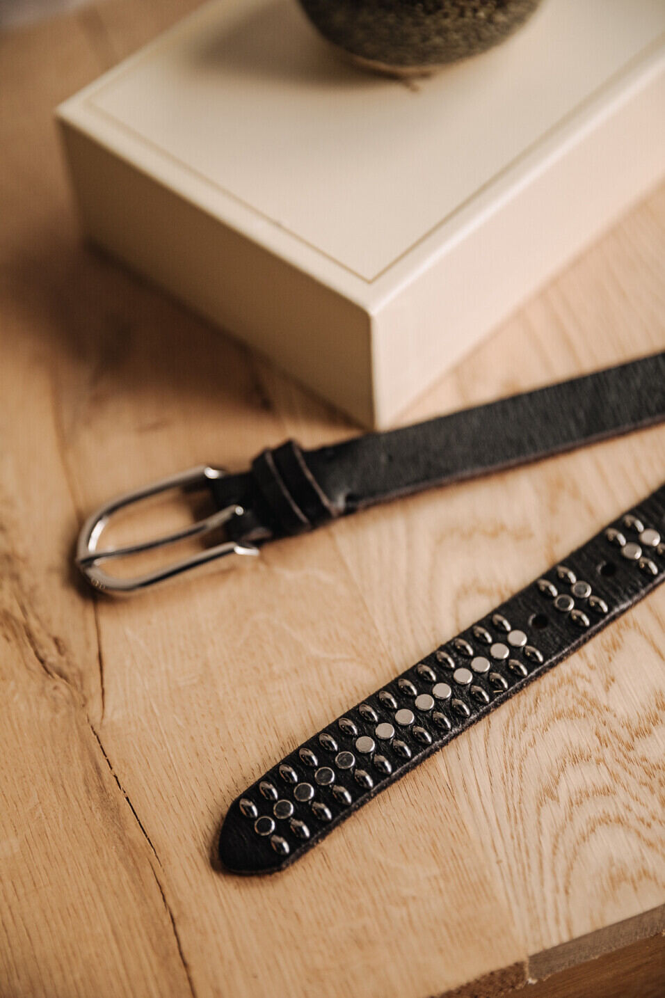Leather belt Woman Asdrig Black | Freeman T. Porter