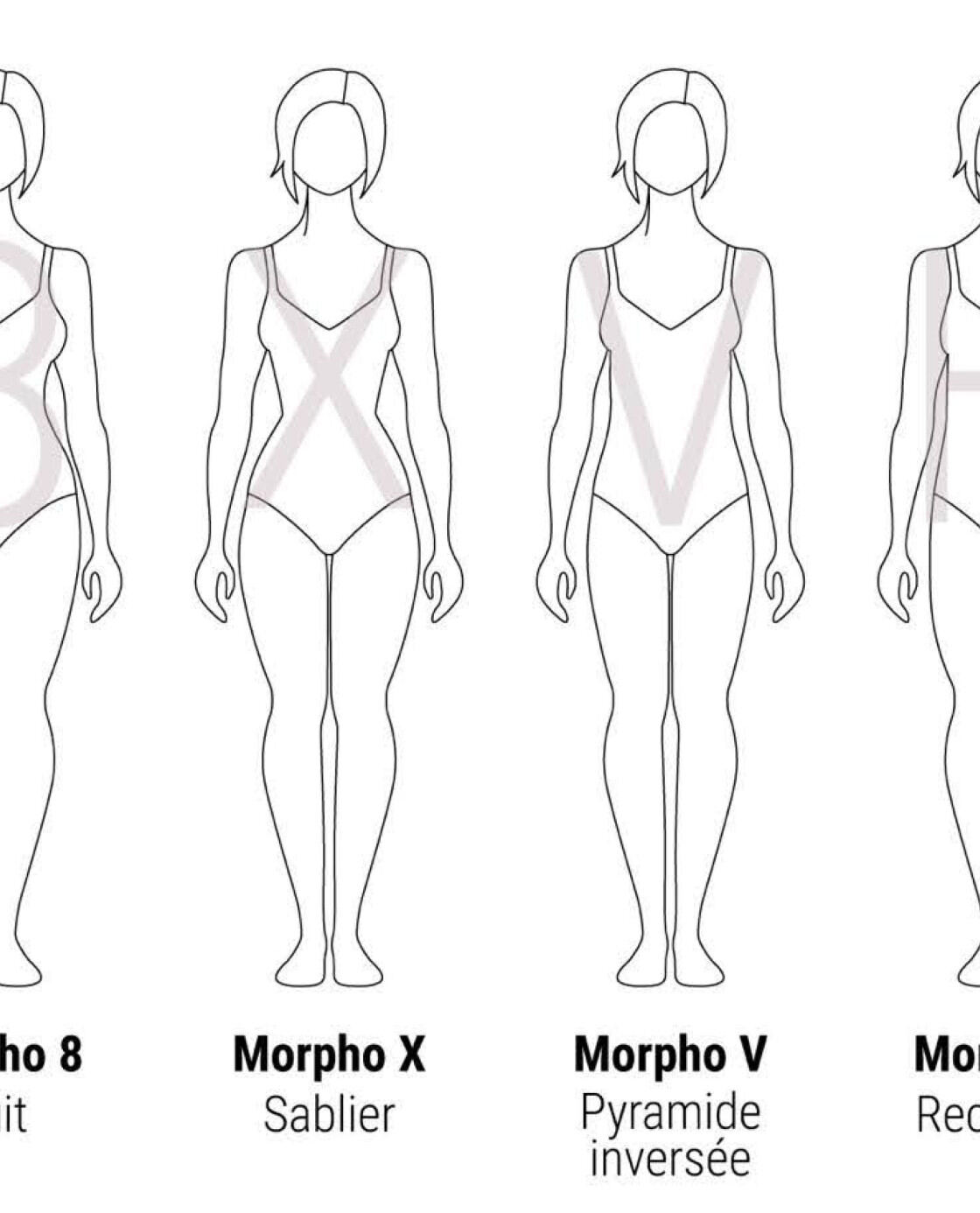Les morphologies de femme
